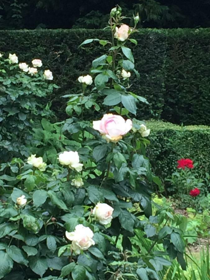 Hof Ter Beuke Bed & Breakfast Bruges Luaran gambar